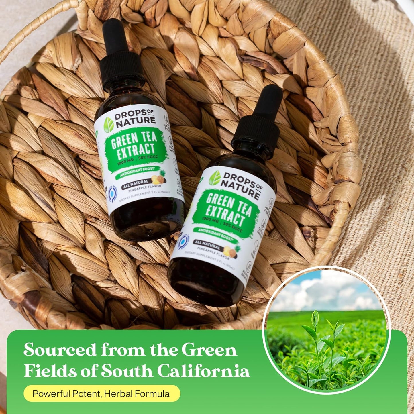 Green Tea Extract