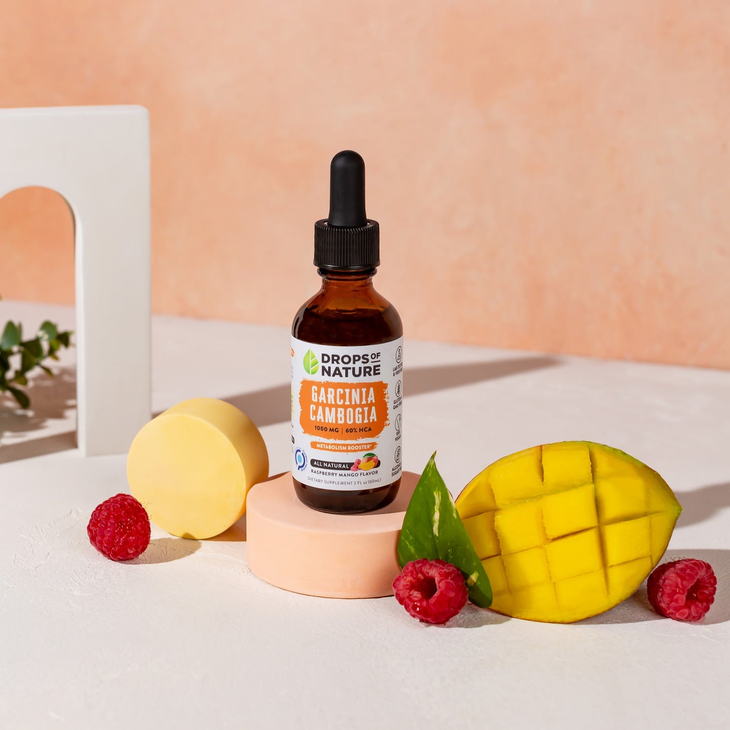 Garcinia Cambogia